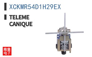 XCKMR54D1H29EX