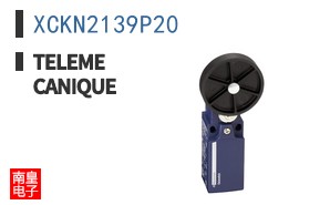 XCKN2139P20
