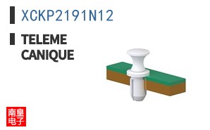 XCKP2191N12