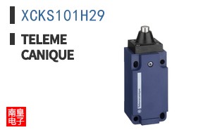 XCKS101H29