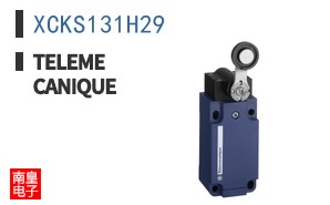 XCKS131H29
