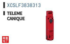 XCSLF3838313