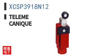 XCSP3918N12