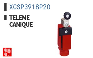 XCSP3918P20