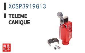 XCSP3919G13
