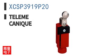 XCSP3919P20