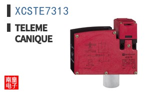 XCSTE7313