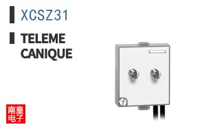 XCSZ31