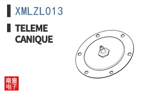 XMLZL013