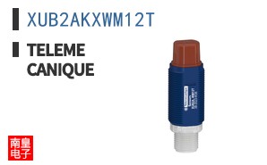XUB2AKXWM12T