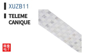 XUZB11