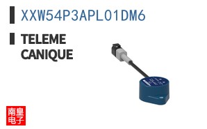 XXW54P3APL01DM6