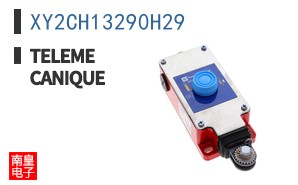 XY2CH13290H29