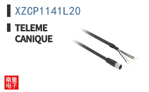 XZCP1141L20