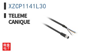 XZCP1141L30