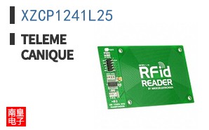 XZCP1241L25