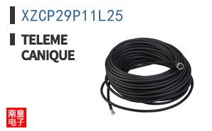 XZCP29P11L25