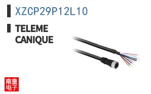 XZCP29P12L10