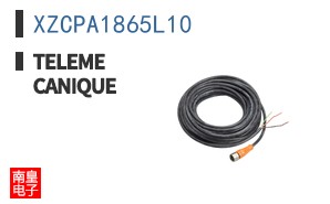 XZCPA1865L10