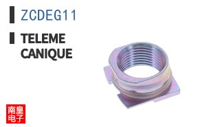 ZCDEG11