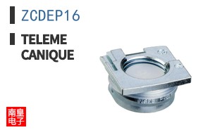 ZCDEP16