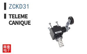 ZCKD31