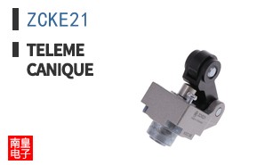 ZCKE21