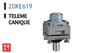 ZCKE619