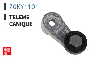 ZCKY1101