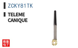 ZCKY81TK