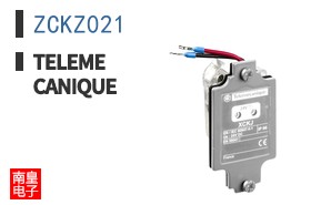 ZCKZ021