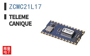 ZCMC21L17