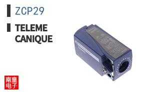 ZCP29