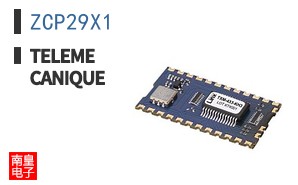ZCP29X1