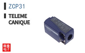 ZCP31