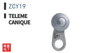 ZCY19
