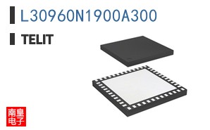L30960N1900A300