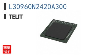 L30960N2420A300
