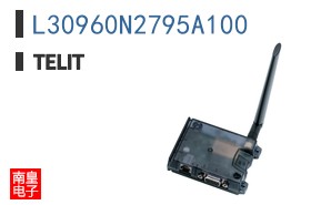 L30960N2795A100