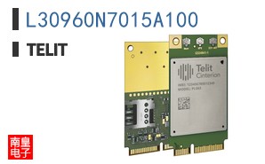 L30960N7015A100