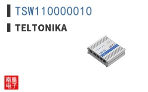 TSW110000010