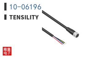 10-06196