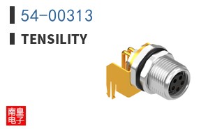 54-00313