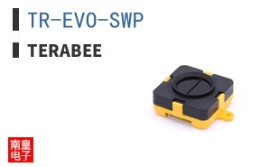 TR-EVO-SWP