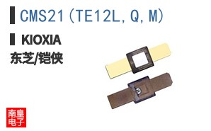 CMS21(TE12L,Q,M)