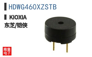 HDWG460XZSTB