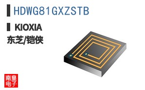 HDWG81GXZSTB