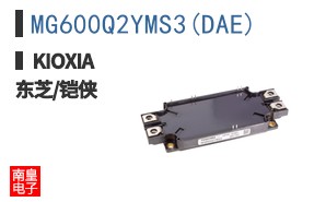 MG600Q2YMS3(DAE)