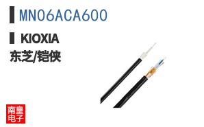 MN06ACA600