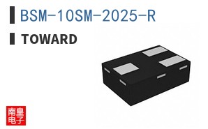 BSM-10SM-2025-R